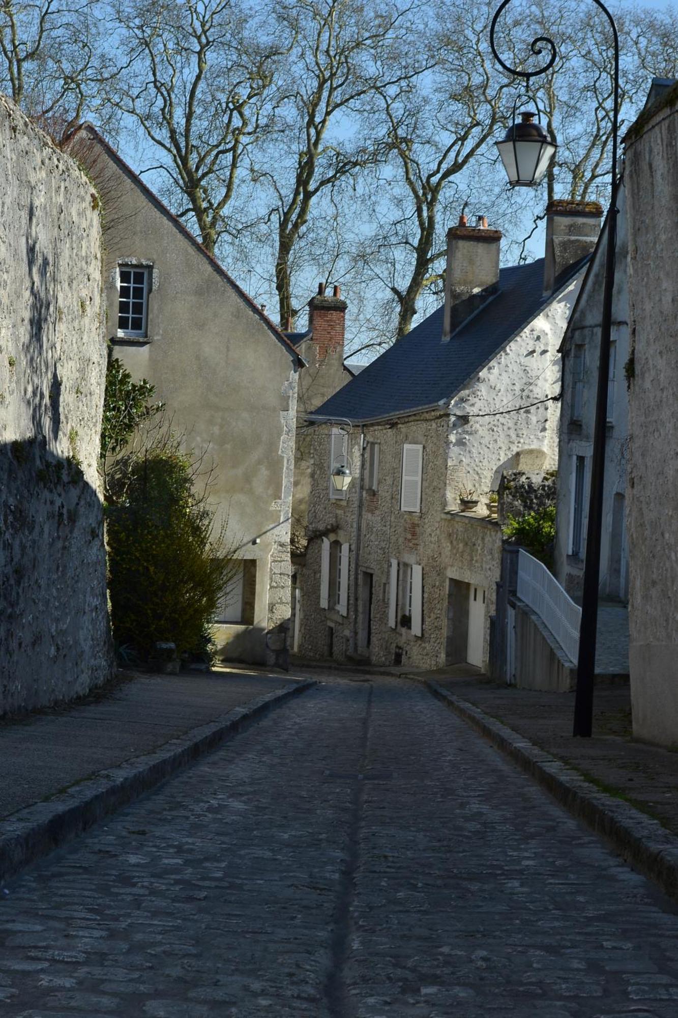 B&B Chez Sylvain Beaugency Exterior photo