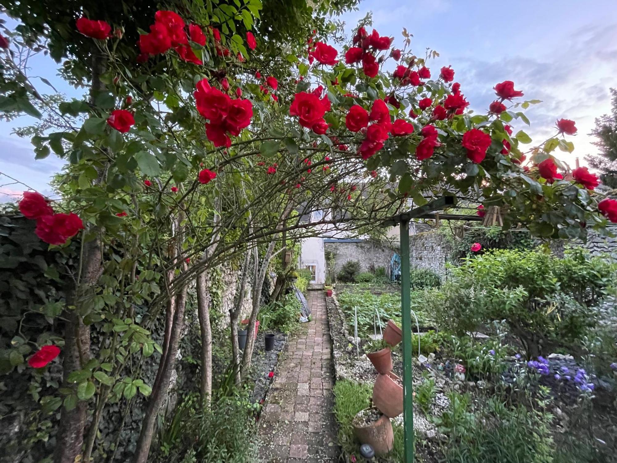 B&B Chez Sylvain Beaugency Exterior photo